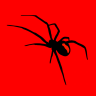 Black_Spider