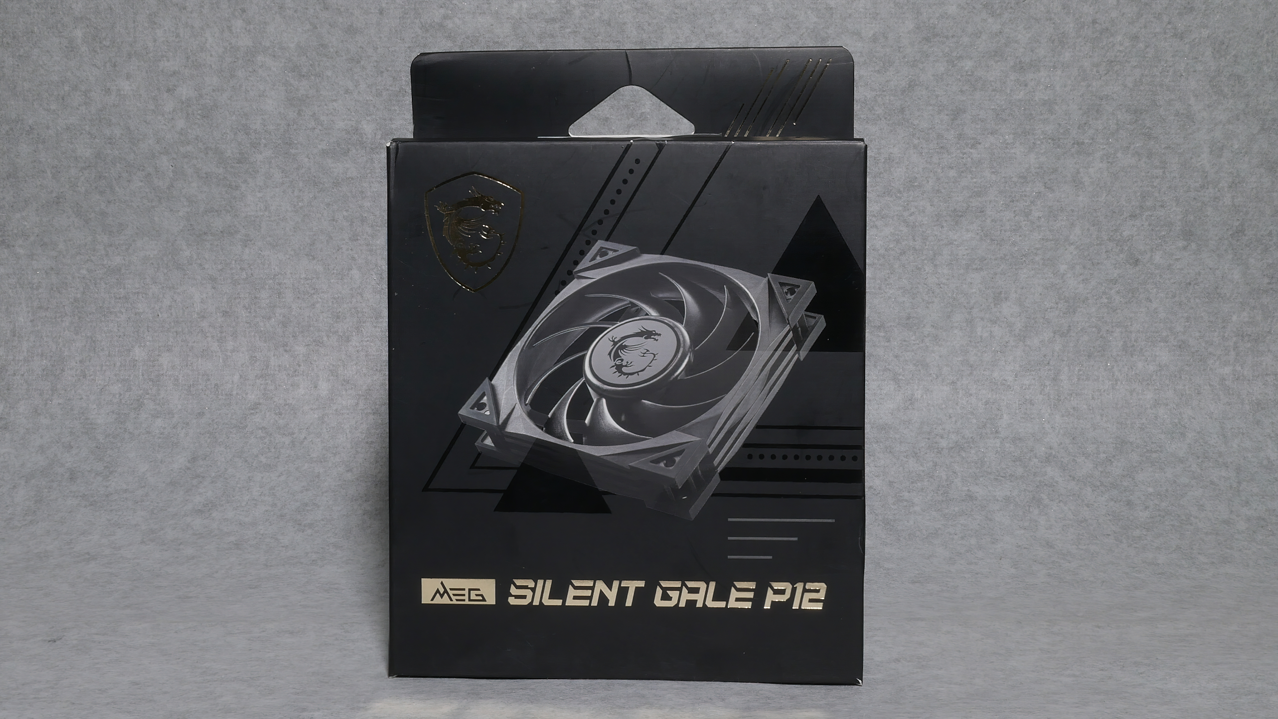 MSI MEG Silent Gale P12 au meilleur prix sur